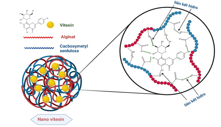 Nanovitexin1