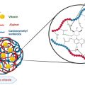 Nghiên cứu quy trình công nghệ chế tạo nanovitexin làm nguyên liệu sản xuất thực phẩm bảo vệ sức khỏe hỗ trợ trong phòng và điều trị bệnh tiểu đường