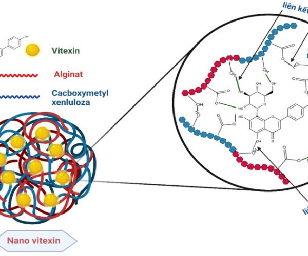 Nghiên cứu quy trình công nghệ chế tạo nanovitexin làm nguyên liệu sản xuất thực phẩm bảo vệ sức khỏe hỗ trợ trong phòng và điều trị bệnh tiểu đường