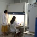 Lần đầu giải mã hệ gen tế bào gốc CD34 trong ung thư hạch: Mở đường cho điều trị trúng đích