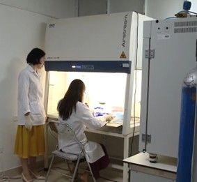 Lần đầu giải mã hệ gen tế bào gốc CD34 trong ung thư hạch: Mở đường cho điều trị trúng đích