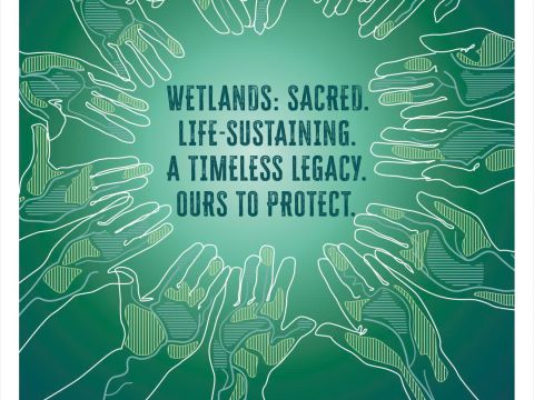 Hưởng ứng Ngày Đất ngập nước Thế giới năm 2026: Tôn vinh di sản văn hóa và tri thức truyền thống