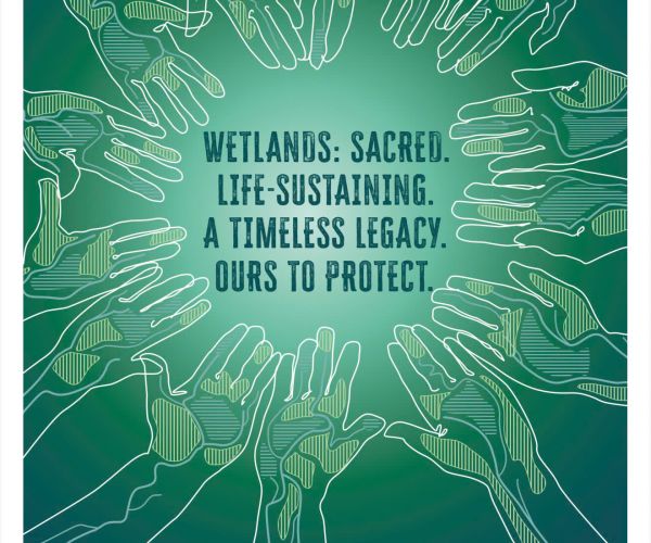 Hưởng ứng Ngày Đất ngập nước Thế giới năm 2026: Tôn vinh di sản văn hóa và tri thức truyền thống